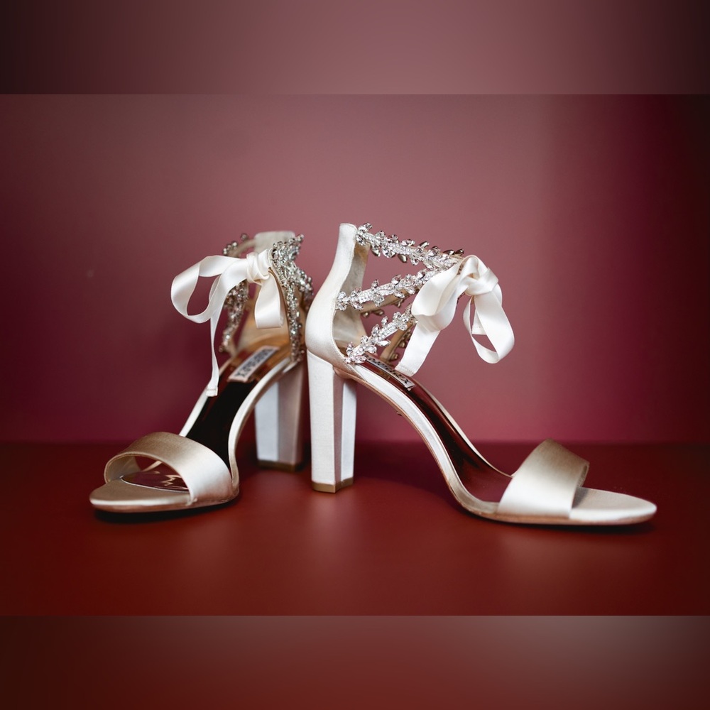 Badgley Mischka Everafter Rhinestone Wedding Heels w/box